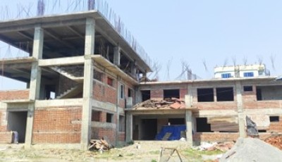 दमौलीमा  नमूना भेटेरिनरी अस्पताल निर्माण कार्य सुस्त Image