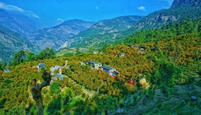 सुन्तला उत्पादनको प्रवर्द्धनसंगै बाँसखर्कमा सडक निर्माणको पहल Image
