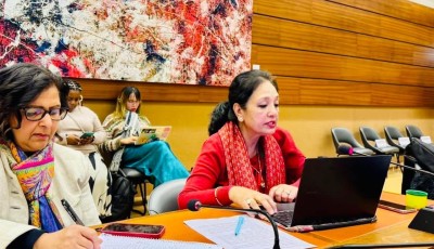 नेपाली एकल महिलाको मुद्दा राष्ट्रसङ्घीय ‘सिड’ कमिटीमा प्रवेश Image