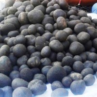 थारु समुदायको भान्सामा हराउँदै ‘फुटकी च्याउ’ को स्वाद Image
