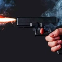 अमेरिकामा छुट्टाछुट्टै गोलीबारी: भर्जिनियामा ५ घाइते, मिसिगनमा ६ जनाको मृत्यु Image