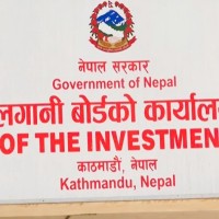 लगानी बोर्डको कार्यकारी प्रमुखका लागि आवेदन खुला: यस्ता छन् शैक्षिक योग्यता र उमेरको मापदण्ड Image