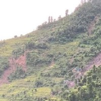 जाजरकोट पहिरो: घर भत्किँदा १० जना घाइते, ३ जना सम्पर्कविहीन (नामावली सहित) Image