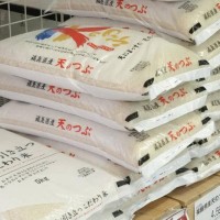 Rice Prices Double in Japan as Inflation Surges, Fueling Political Pressure on PM Ishiba Image