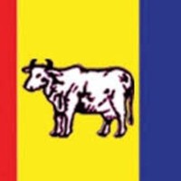 हिन्दु राष्ट्रदेखि राजसंस्था पुनर्स्थापनासम्म: राप्रपाको घोषणापत्र भोलि सार्वजनिक हुने Image