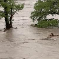 Central Texas Flooding Kills 25, Dozens Still Missing Including Summer Camp Girls Image