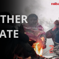 पश्चिमी वायुको आंशिक प्रभाव कायमै, यी स्थानमा वर्षा–हिमपातको सम्भावना Image