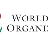 India, Japan Notify WTO of Potential Retaliation Against U.S. Tariffs Image