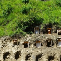 अरिङ्गालको लार्भा बेचेर आम्दानी गर्दै शाही दम्पती Image