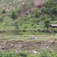 सिँचाइमा क्षति पुग्दा बाँझिए खेतबारी Image