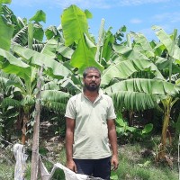 वैदेशिक रोजगारबाट फर्केर केराखेतीमा जमेका भण्डारी Image