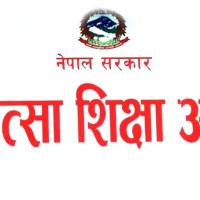 आवासीय डाक्टरलाई पाठ्यक्रम बाहिरको काम नलगाउन आयोगको चेतावनी Image