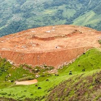 क्रिकेटर लामिछानेको सम्मानमा रङ्गशाला बन्दै Image