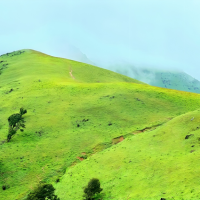 देउरालीडाँडा Image