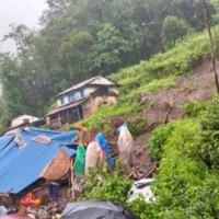 पाल्पामा पहिरोले घर पुरिदा तीन जना बेपत्ता Image