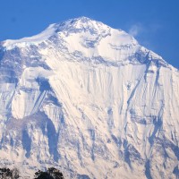 शरदयाममा धवलागिरि आरोहणका लागि २४ जनाले लिए अनुमति Image