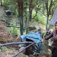 विदेश त्यागेर स्वदेशमै उद्यम: गहुँतबाट जैविक विषादी उत्पादन गर्दै म्याग्दीका भूपेन्द्र Image