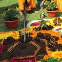 आज गोवर्द्धन पूजा र हलि तिहार: गोरु र कृषकको सम्मानका साथ मनाइँदै Image