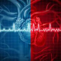 Singapore to Trial AI System for Rapid Cardiac Scan Analysis Image