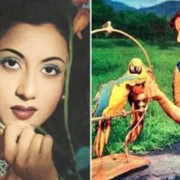 मधुबाला र मीना कुमारीको अधुरो प्रेमकथा Image