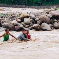 गोदावरी खोलामा फसेका ३६ वर्षीय युवक सुरक्षित उद्धार Image