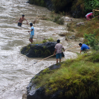कालीगण्डकीको उर्लंदै गरेको भेलमा दाउरा संकलनमा तँछाडमछाड Image