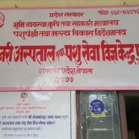 पर्वतका पशुपालक किसानलाई ८० लाख अनुदान वितरण Image