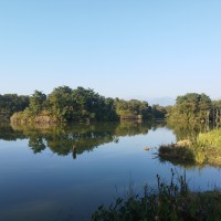 जैविक विविधता र जलचर संरक्षणमा जलाशय Image