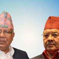 ‘वरिष्ठ नेता’ पद मन परेको छैन - वामदेव गौतम Image