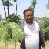 कृषिबाट करोडौं आम्दानी, दाङका ३८ जनालाई रोजगारी दिने किसान खड्काको सफलता कथा Image
