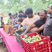 आँप मेलामा १० लाखभन्दा बढीको कारोबार Image