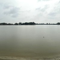 नाढीमन ताल Image