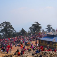 पाथीभरा दर्शनबाट फर्कँदा अढाइ वर्षीय बालकको मृत्यु Image