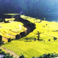 लेखक भण्डारीद्वारा अध्ययन गरिएका बझाङका पुरातात्विक–ऐतिहासिक महत्वका गाउँबस्तीहरु Image