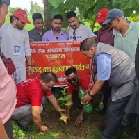 कञ्चनपुरमा वाइसियलको वृक्षारोपण र सरसफाइ अभियान सुरु Image