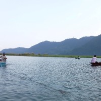 फेवा तालमा हाम फालेकी महिलाको उद्धार Image