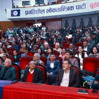 प्रगतिशील लोकतान्त्रिक पार्टीको राजनीतिक प्रतिबद्धता पत्र सार्वजनिक Image