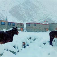 पश्चिमी वायू सक्रिय, यी स्थानमा हिमपात र वर्षाको सम्भावना Image