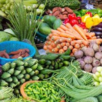 फलफूल–तरकारीको थोक मूल्य सार्वजनिक: अनार रु ३५०, अमला रु १००, अदुवा रु १३० प्रति किलो Image