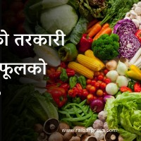 यस्तो छ आज सागसब्जी र फलफूलको अधिकतम थोक मूल्य Image