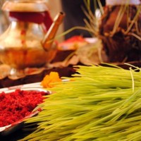 बडादसैँको टीकाको उत्तम साइत सार्वजनिक,  पूर्णिमासम्मका मुख्य साइतहरू हेर्नुहोस् Image
